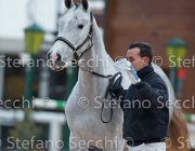 x del Buttasella Tosc Tour2013- S5 1725 : Arezzo, Cavalli d'Italia, Clara del Buttasella, Toscana Tour 2013, foto di Stefano Secchi ©